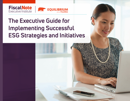 The Executive Guide for Implementing Successful ESG Strategies and Initiatives