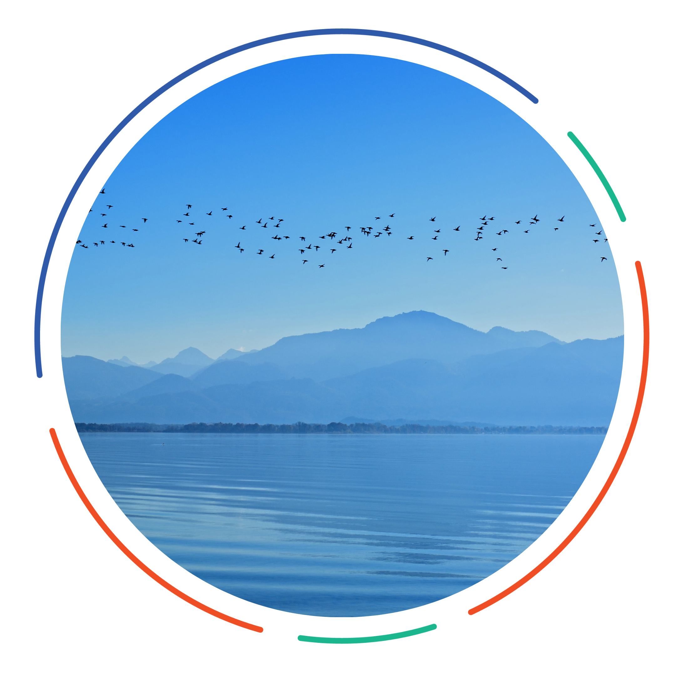 360 circle in which birds flying above the sea
